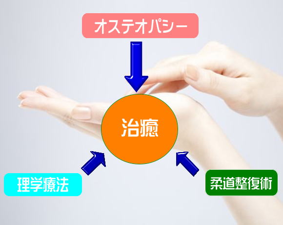 オステオパシー　理学療法　整骨